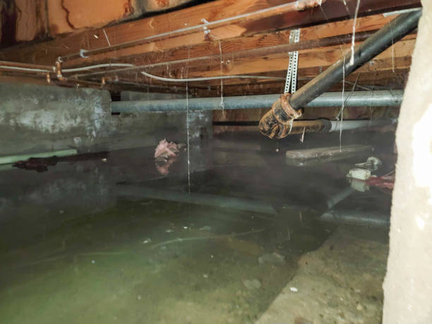 Best Commercial water damage restoration  in South Padre Island, TX