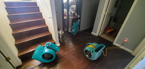 Best Emergency water damage restoration  in South Padre Island, TX