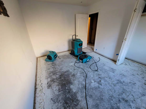 Best Water damage restoration near me  in South Padre Island, TX