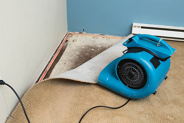 Best Water damage restoration cost  in South Padre Island, TX